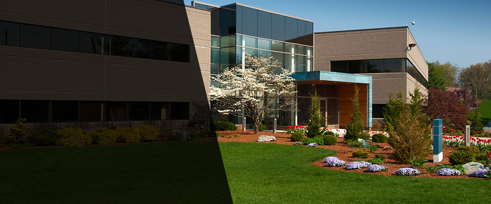 Frostproof Landscapers