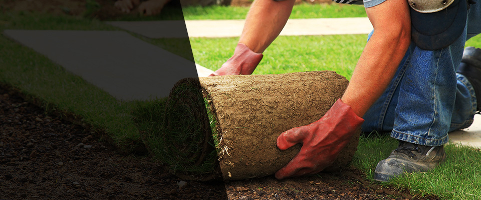 Frostproof Landscapers